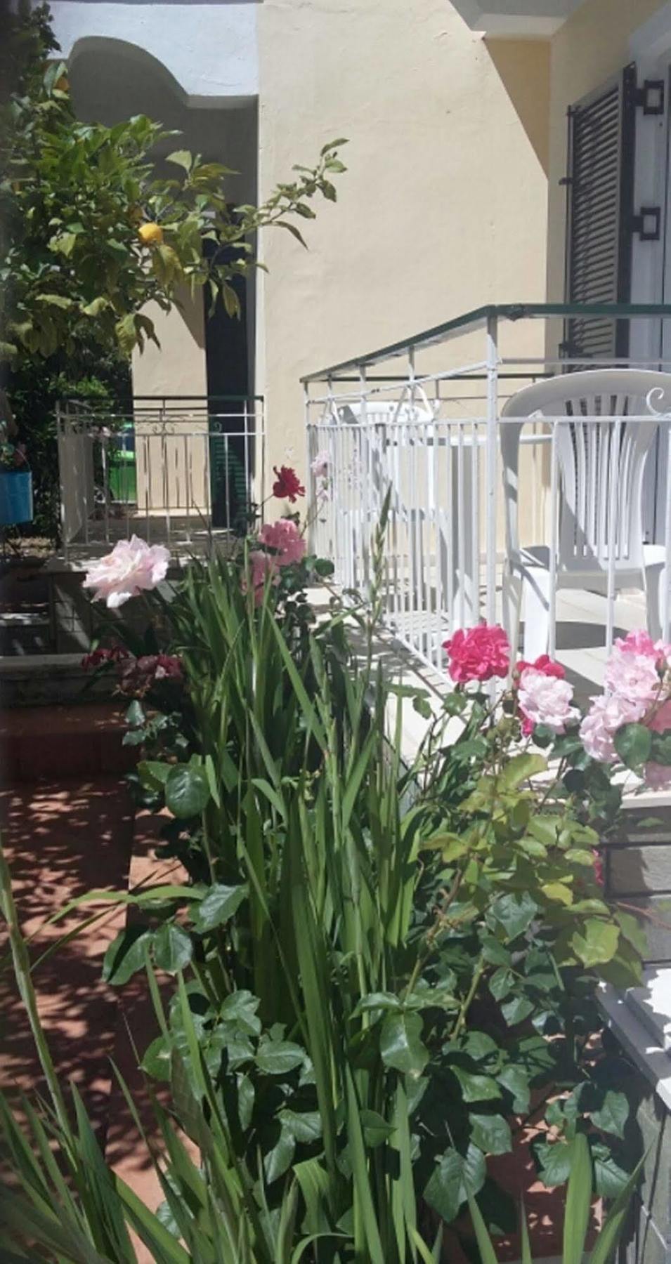 Elenas Garden Daire Kávos Dış mekan fotoğraf